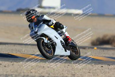 media/Jan-14-2024-SoCal Trackdays (Sun) [[2e55ec21a6]]/Turn 4 Tree of Life (155pm)/